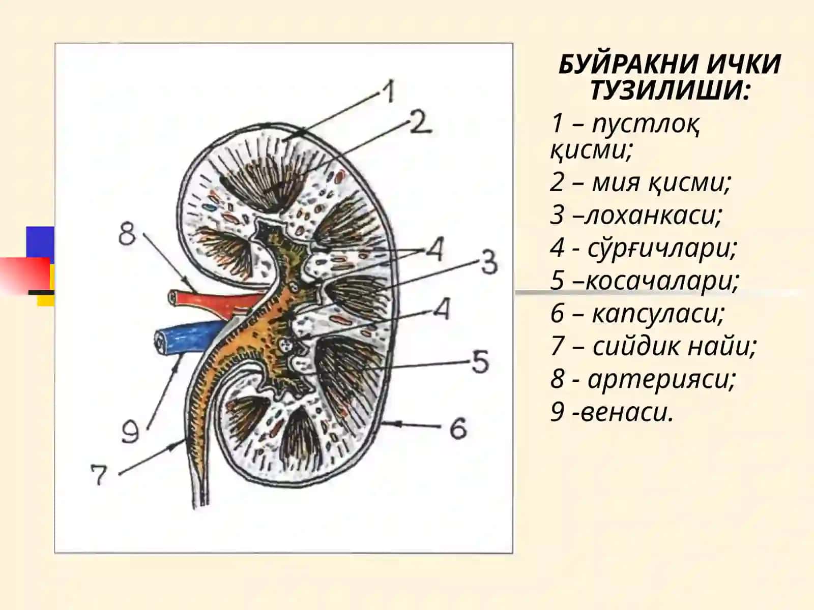 БУЙРАК 3
