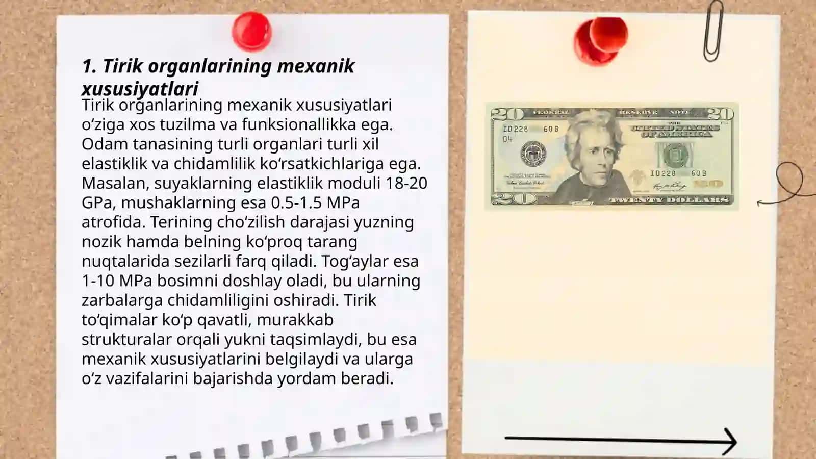 Tirik Organlarda Biomexanikaning Bazı Masalalari 3