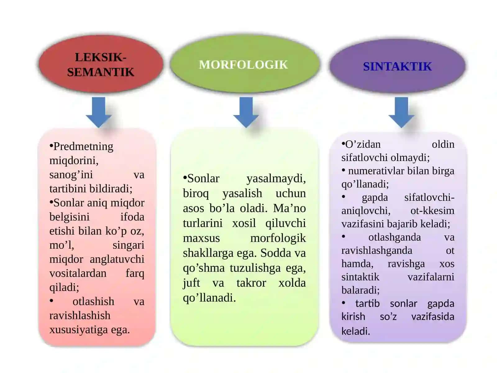 Mahamudova Nodira - Pedagogika fakulteti 3