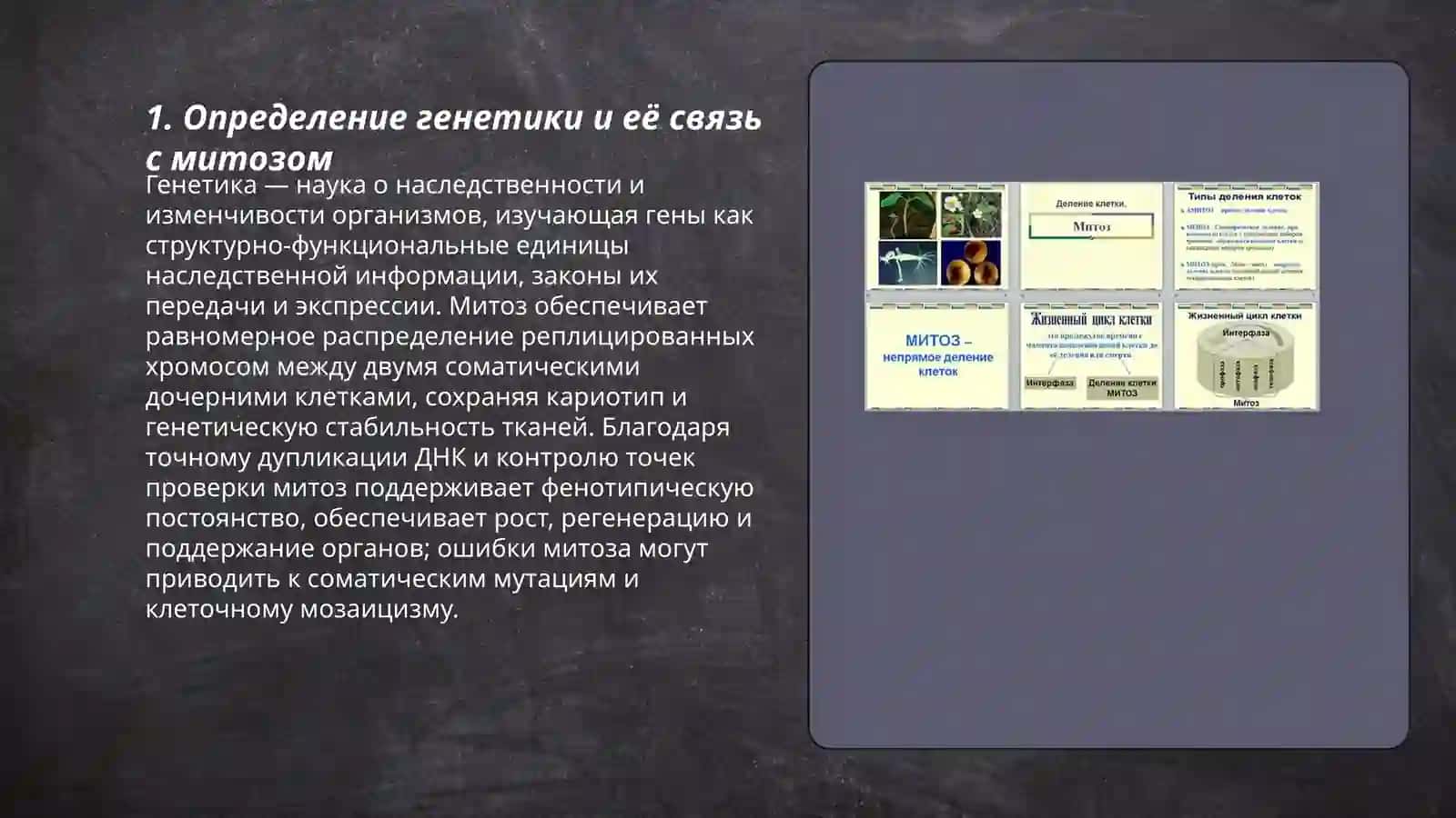 Основные понятия генетики: митоз как способ деления соматических клеток 3