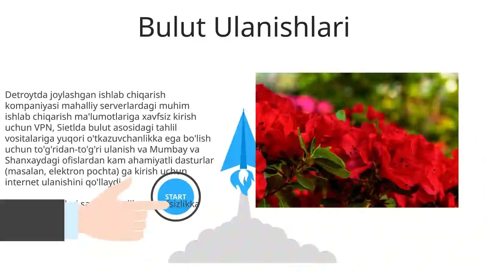 Tarmoq turlari 3