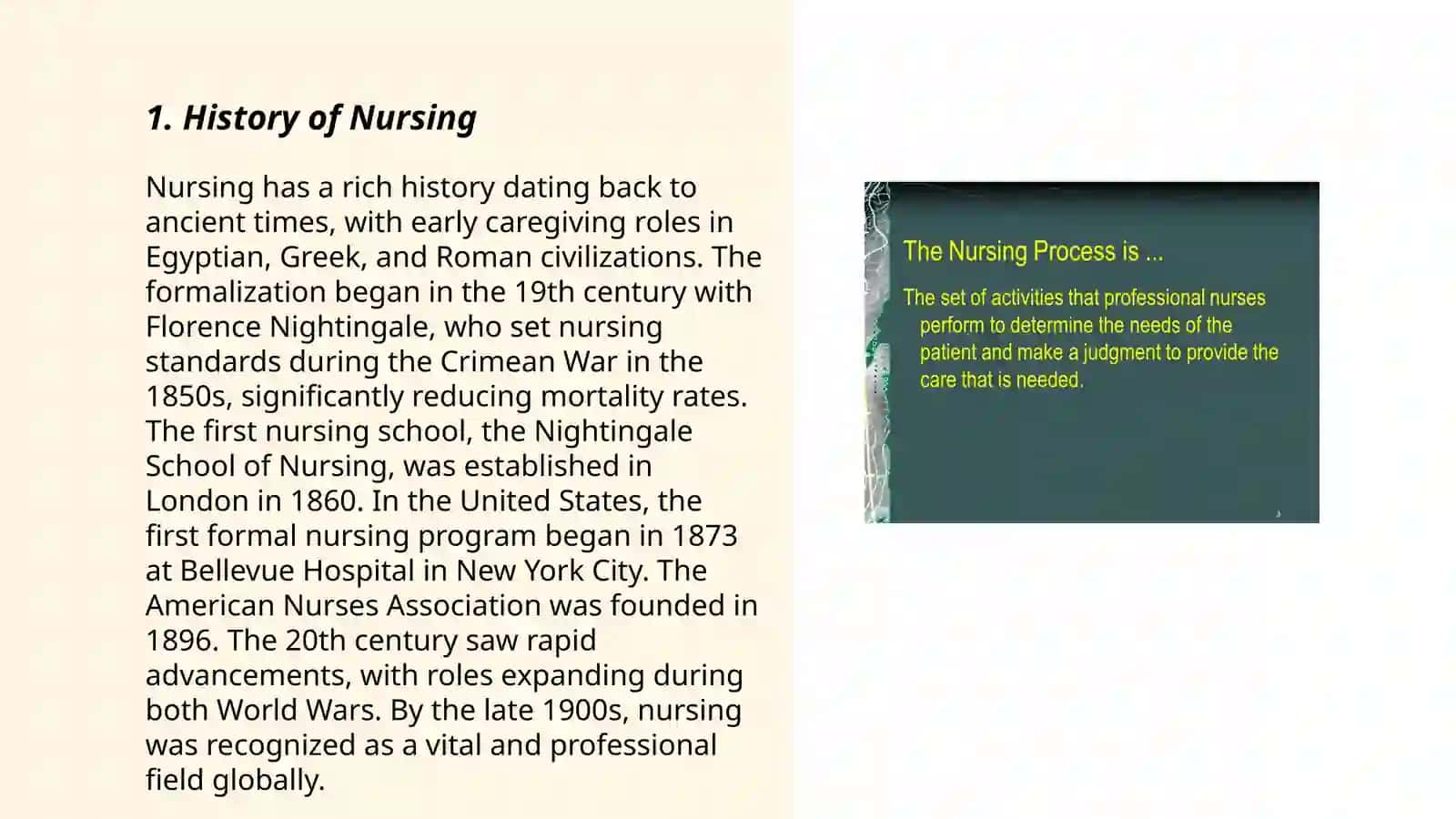 Nursing Profession History 3