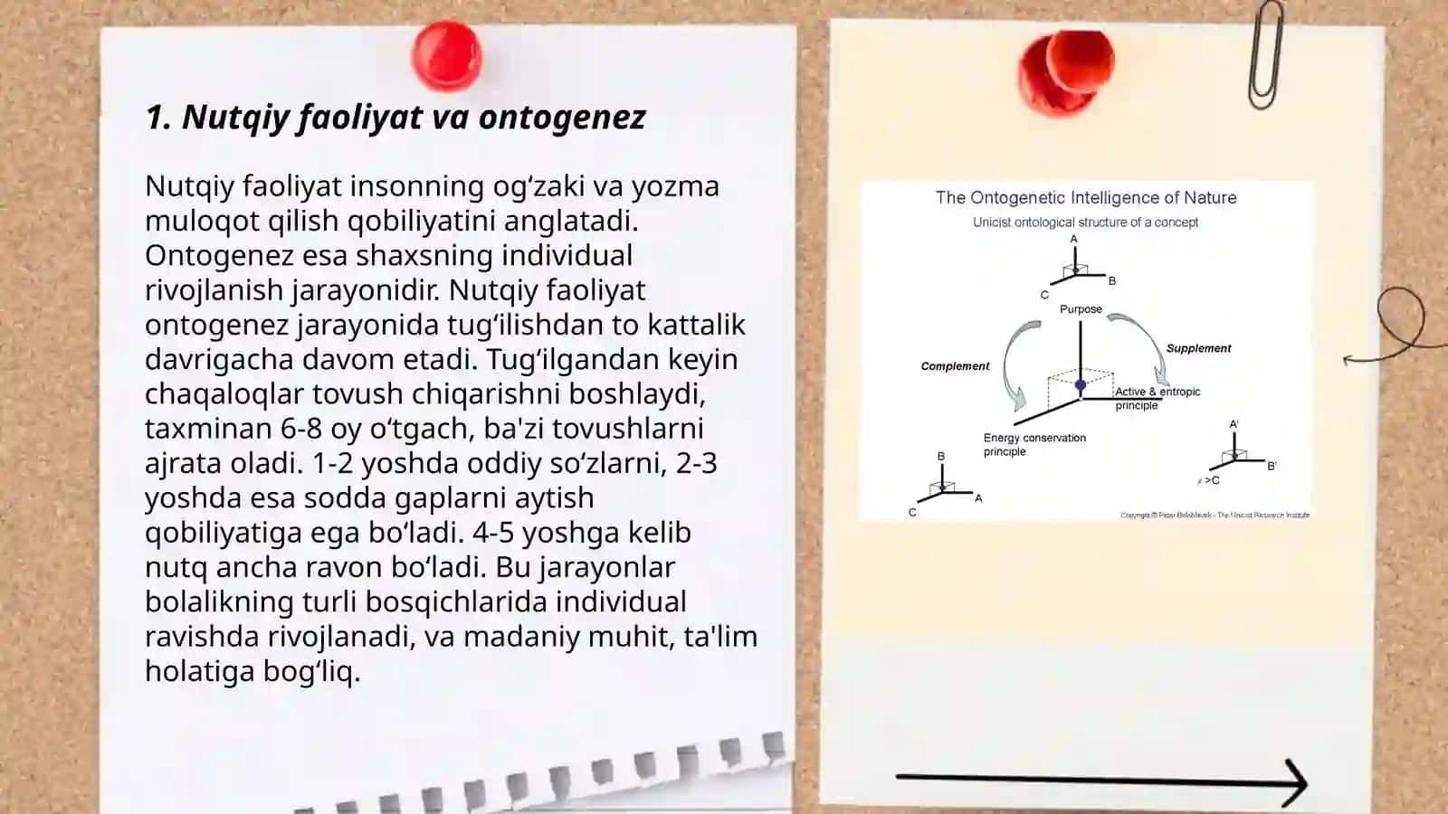 Nutqiy faoliyat ontogenezida tilni egallash konsepsiyasi 3