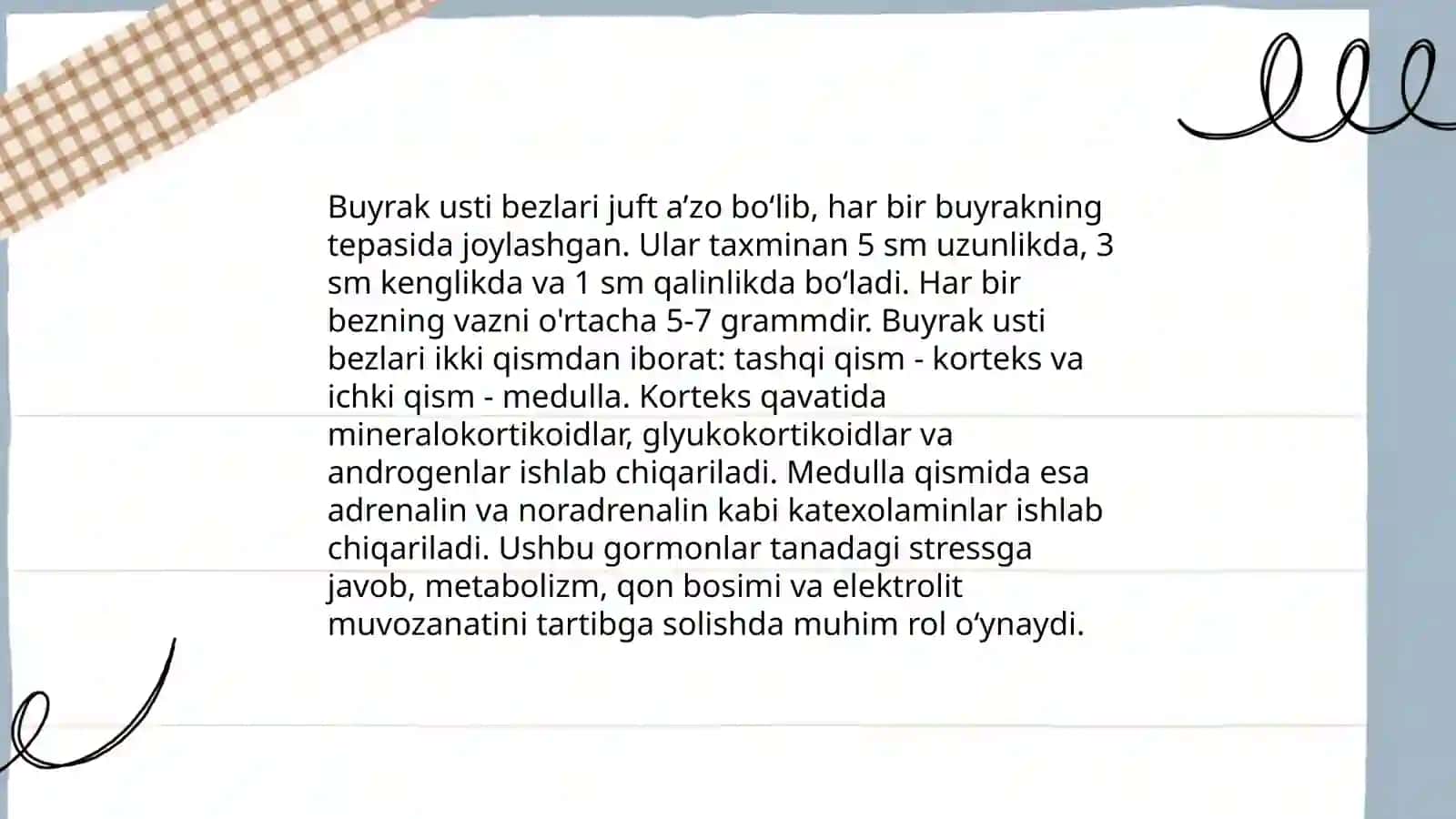 Buyrak usti bezi fiziologiyasi 3