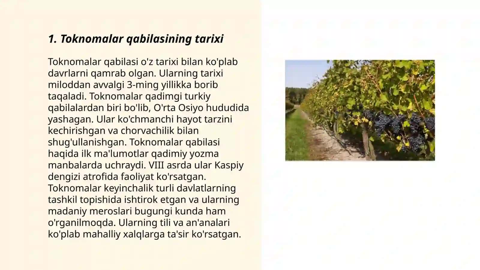Toknomalar qabilasi 3