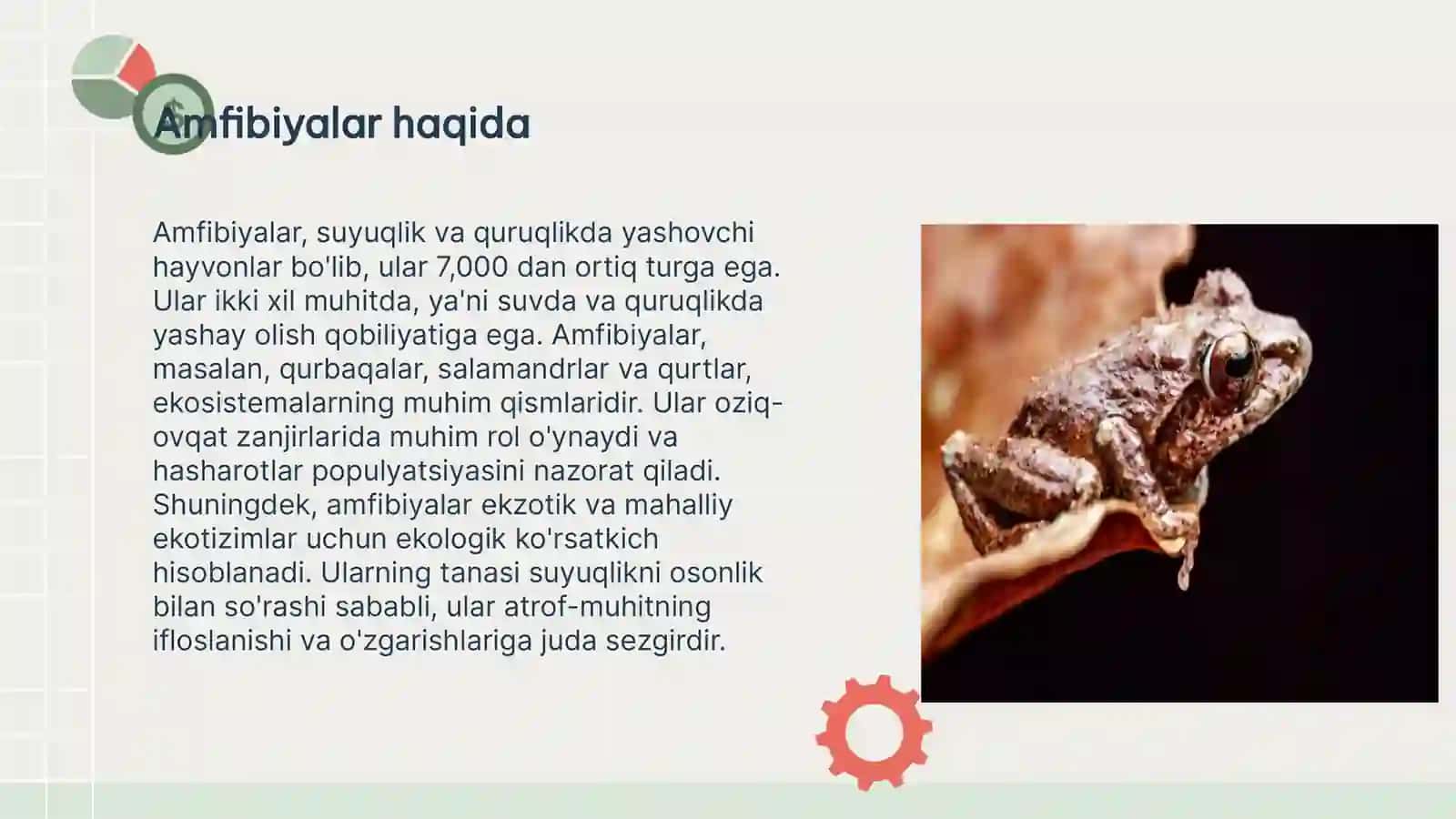 AMFIBIYALAR EKOLOGIYASI, AHAMIYATI VA MUHOFAZALANISHI 3
