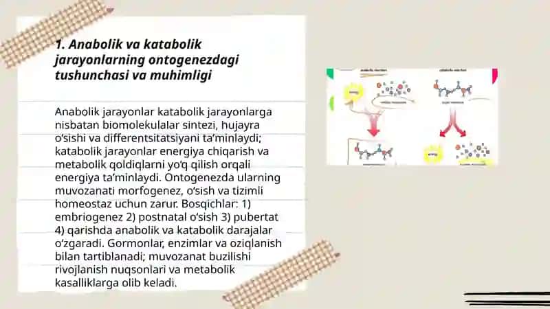 Anabolik va katabolik jarayonlarning ontogenezda oʻzgarib borishi 3