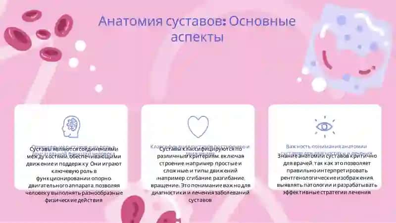 Биомеханика суставов.Рентгенологическая анатомия соединений 3