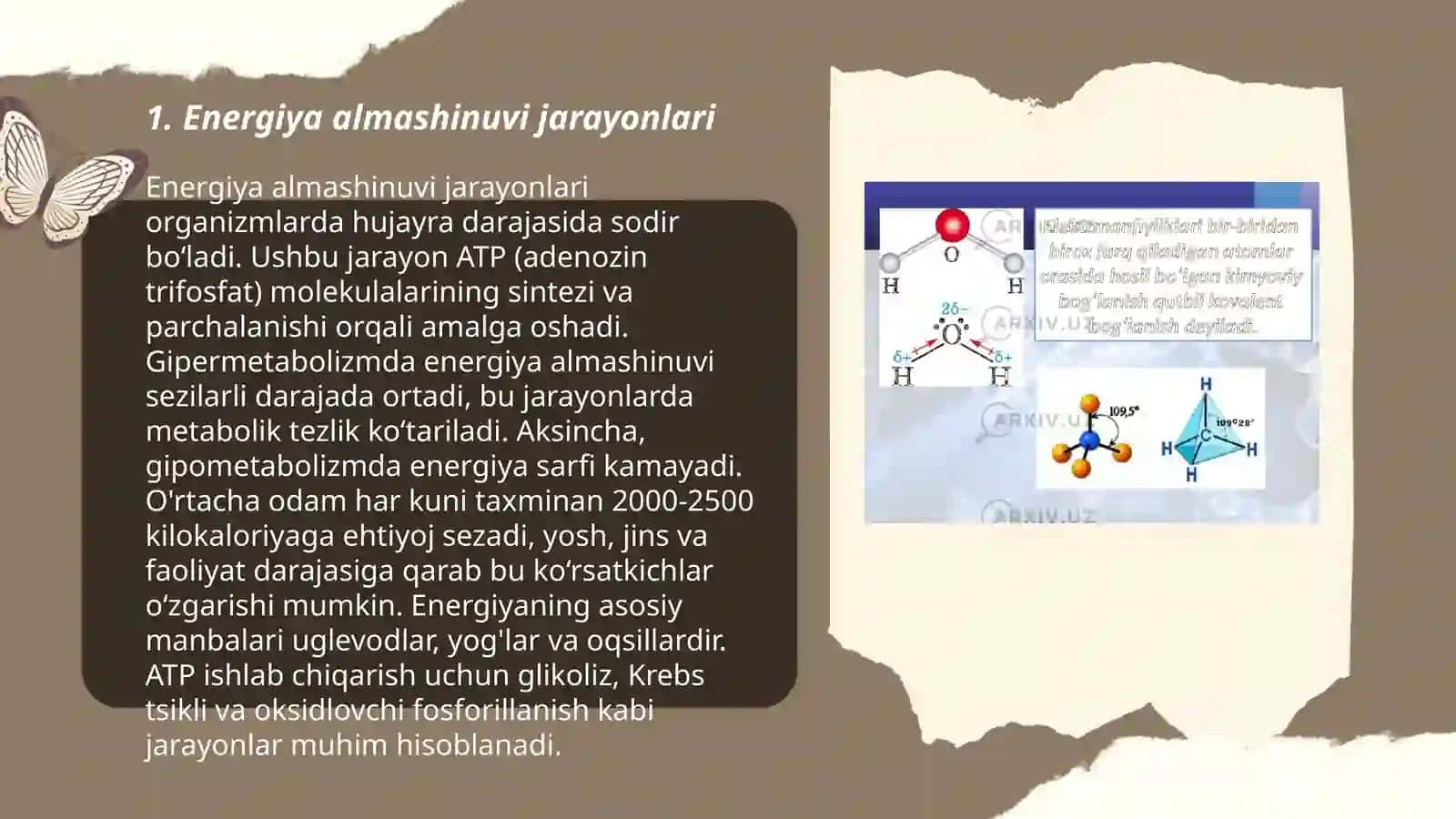 Metabolizm jarayonida energiya hosil bo'lishi va sarflanishi 3