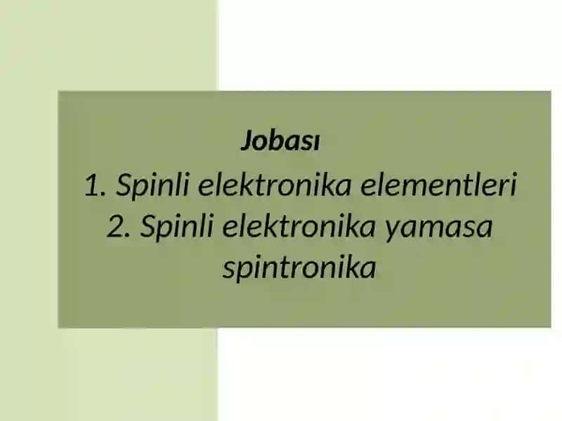Spinli elektronika elementleri 3