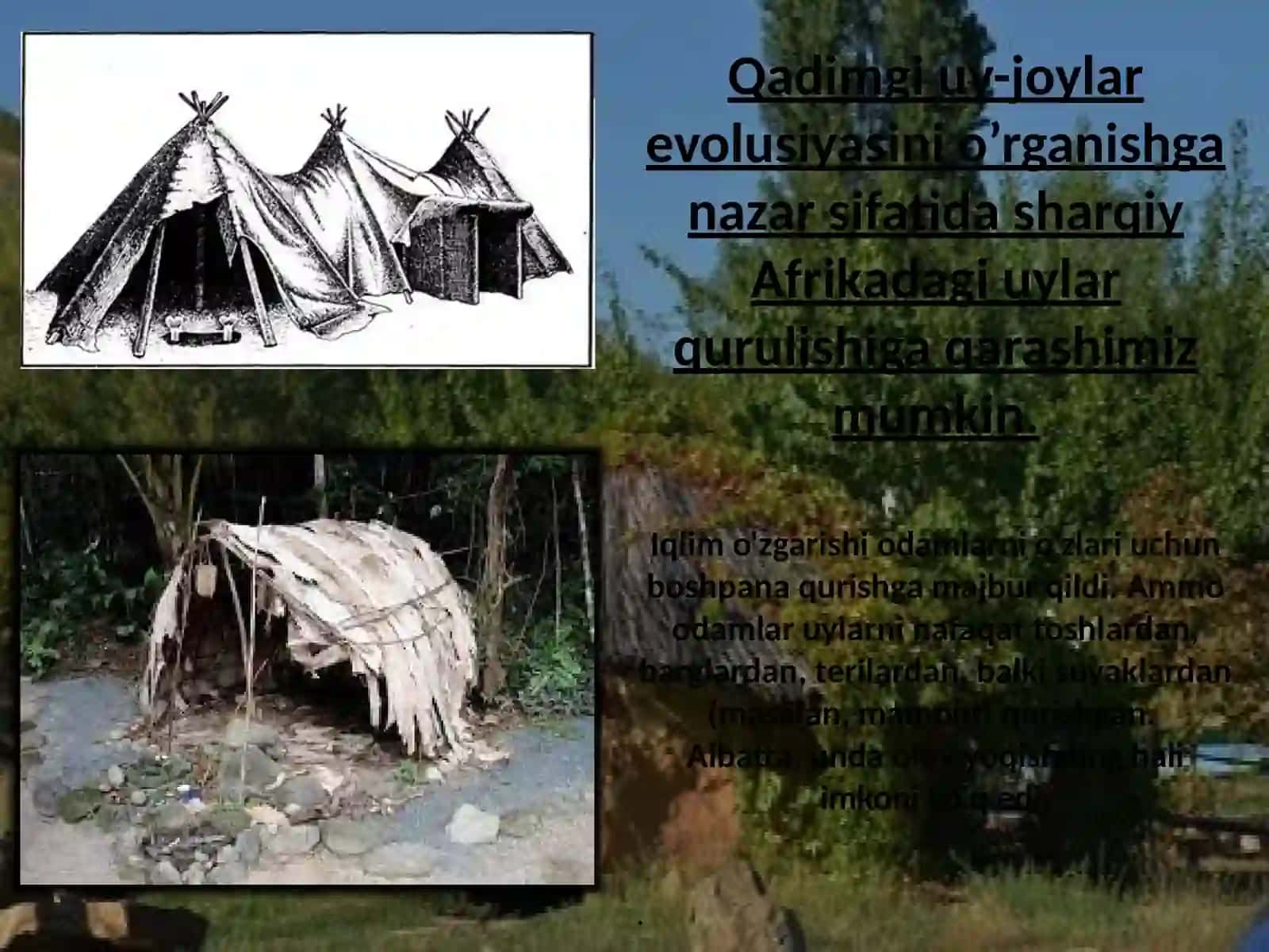 Uy-joylarning evolyutsiyasi va ularning ijtimoiy taraqqiyot bilan aloqadorligi 3