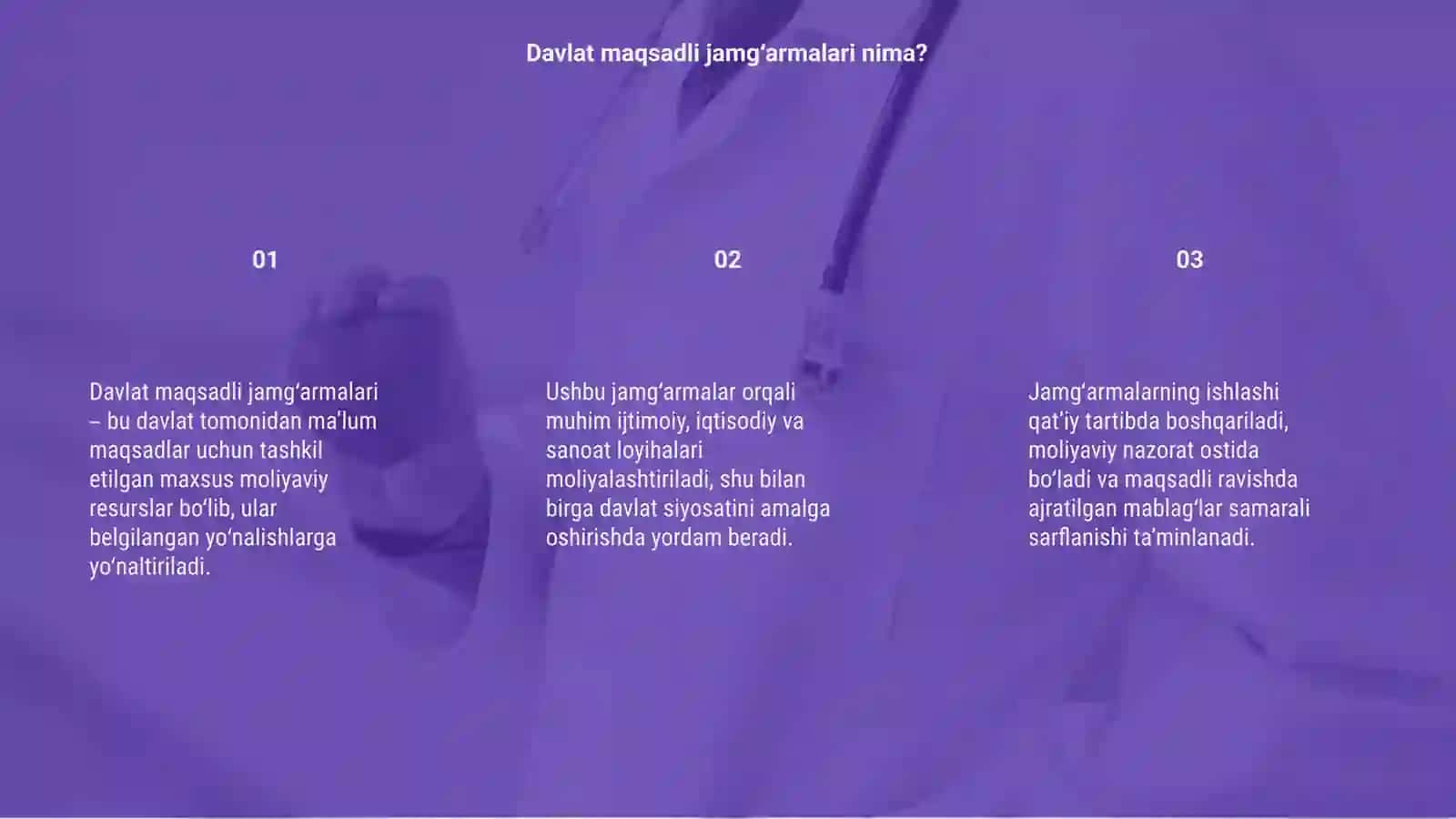 Davlat maqsadli jamg’armalari 3