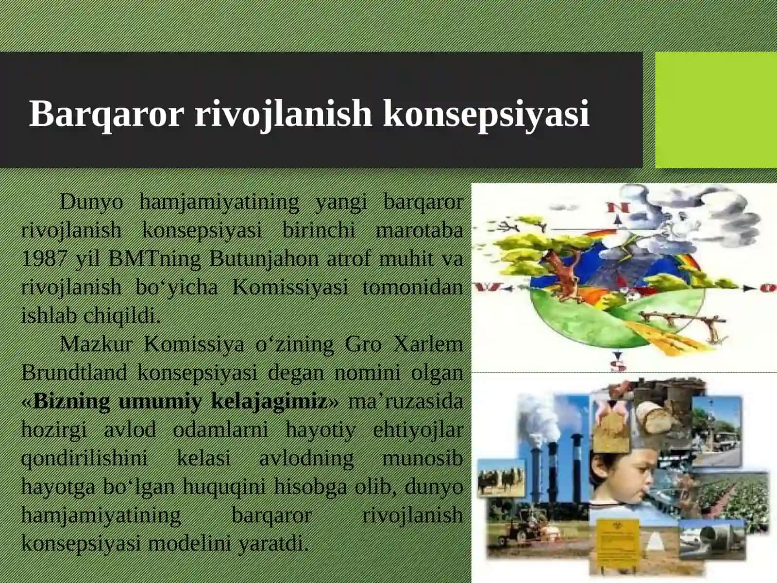Barqaror taraqqiy maqsadlari BMT konsepsiyasi 3