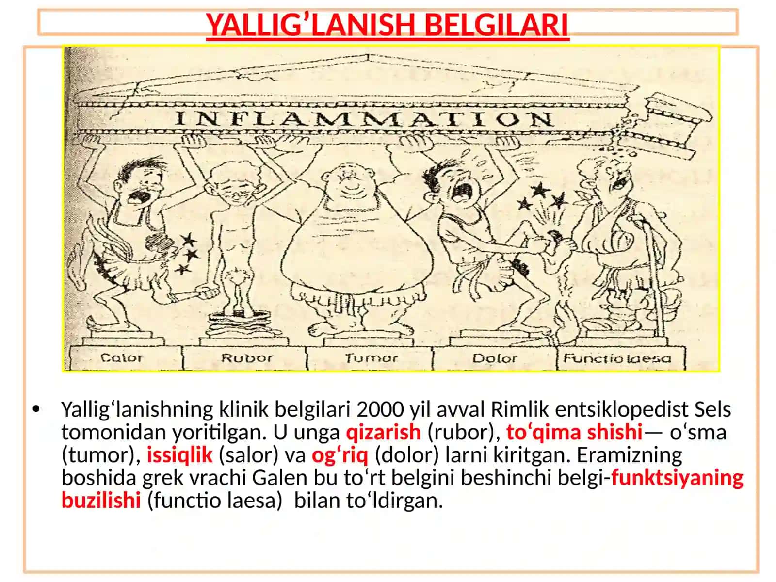 PATOLOGIK ANATOMIYA 2-Ma’ruza 2025-2026 3