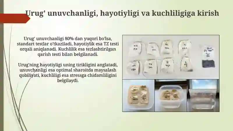 Urug'larni usuvchanligini, yashovchanligini va o'sish kuchini aniqlash 3