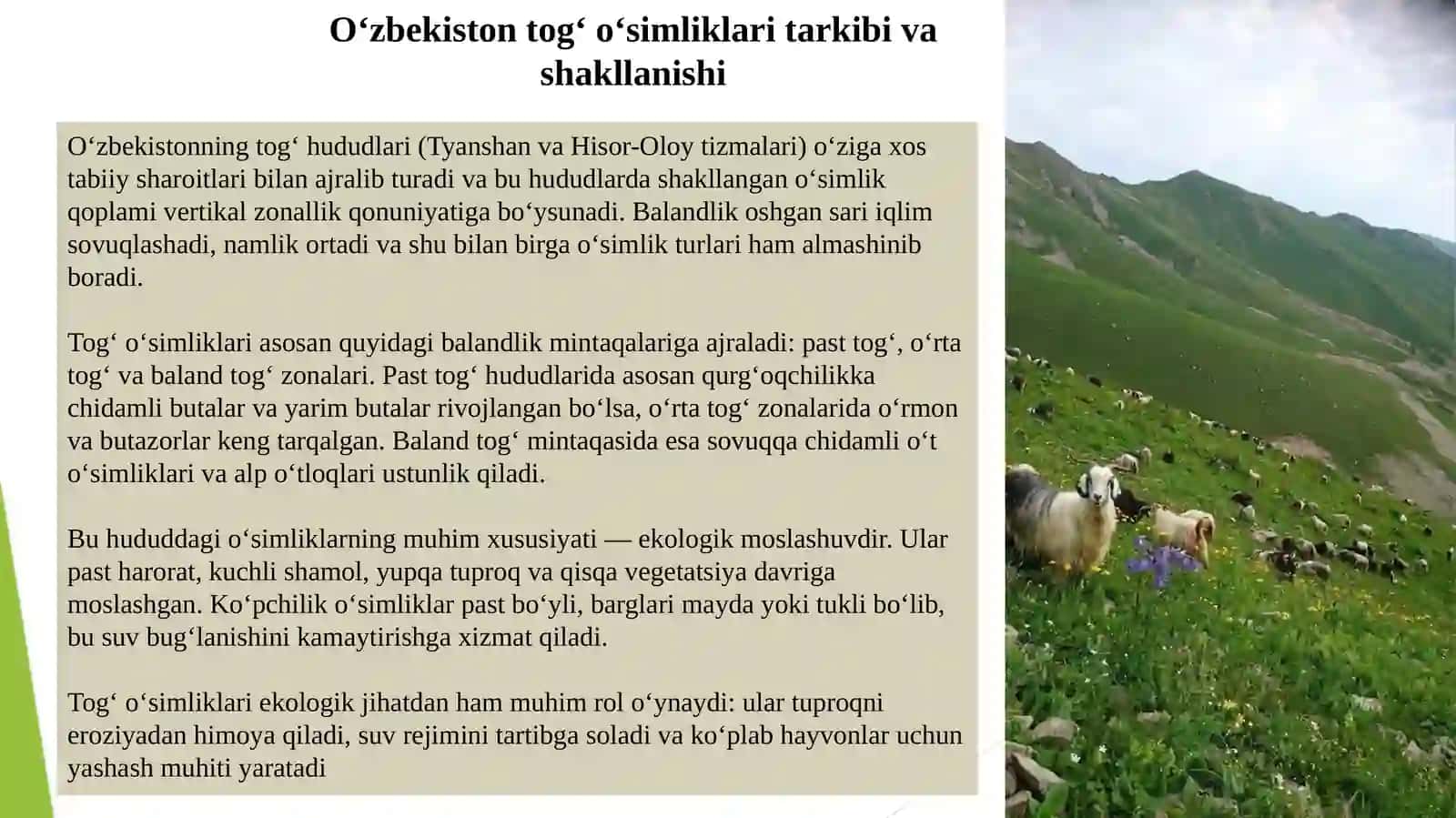 O`zbekistonning tog`, cho`l, dashtlarida o`simliklar 2026 YIL 3
