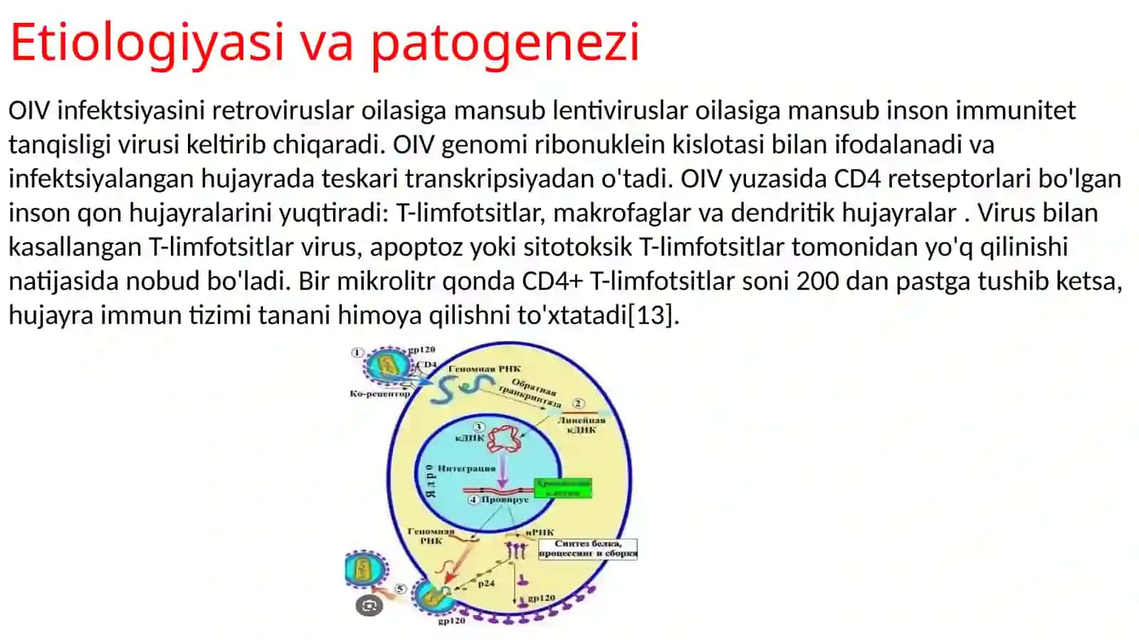 OIV infeksiyasi 3