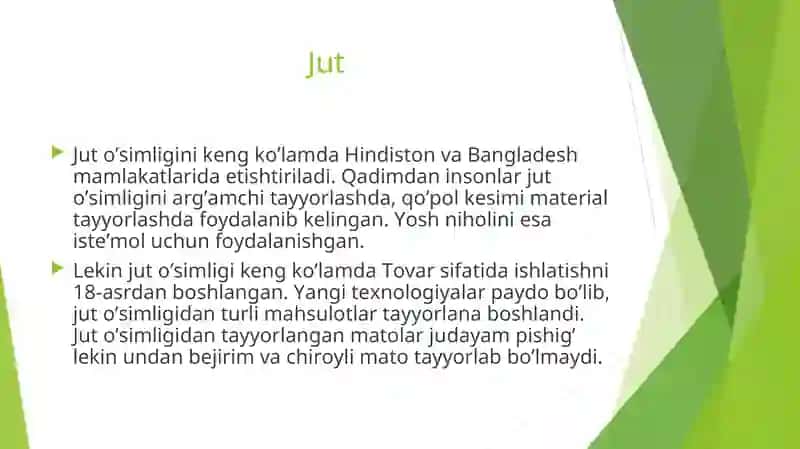 Jut o’simligining kelib chiqishi va ahamiyati 3