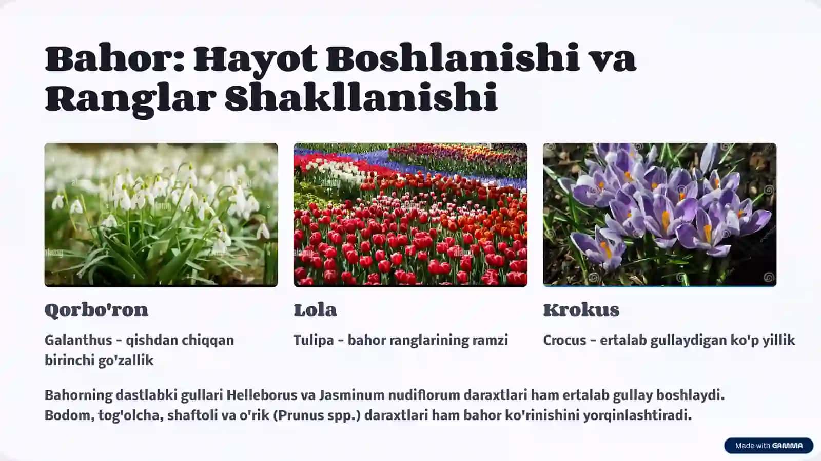 Har Faslda Gulzorni Tashkil Etish: Yil Davomida Go'zallik 3