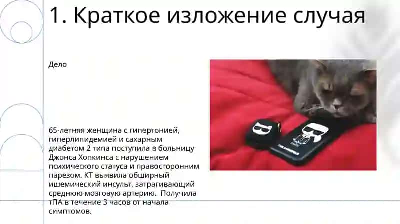 Падежлар 3