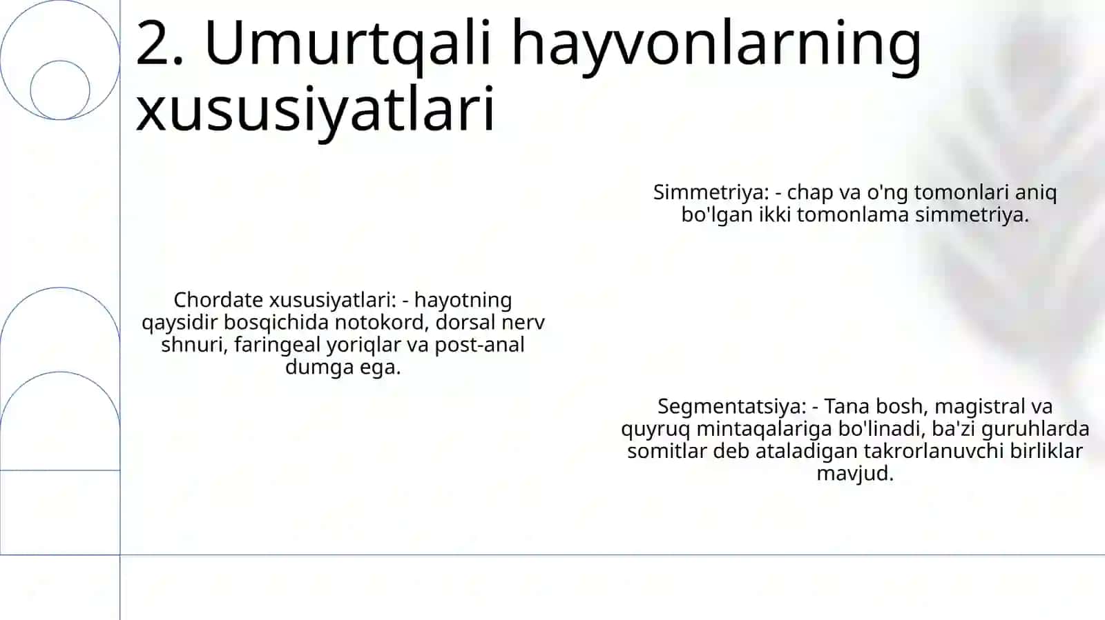 Umurtqalilar Zoologiyasi 3