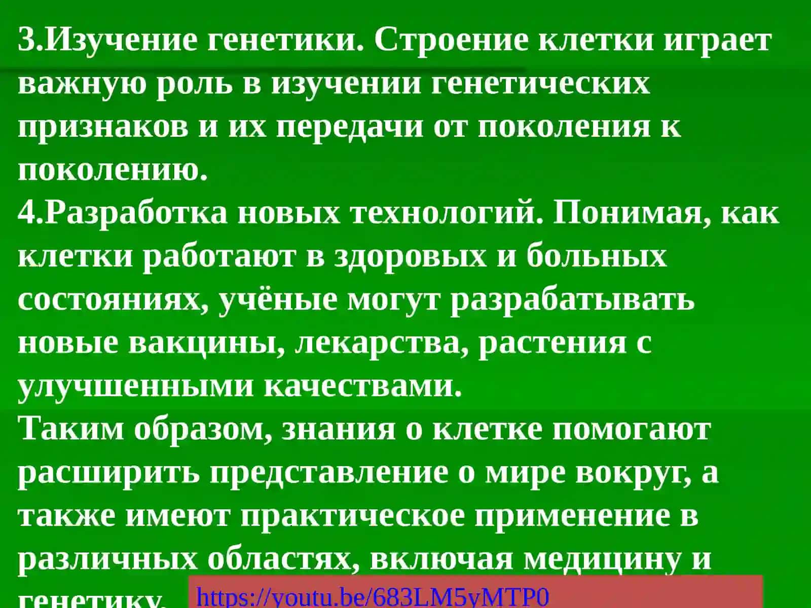 КЛЕТКА 3