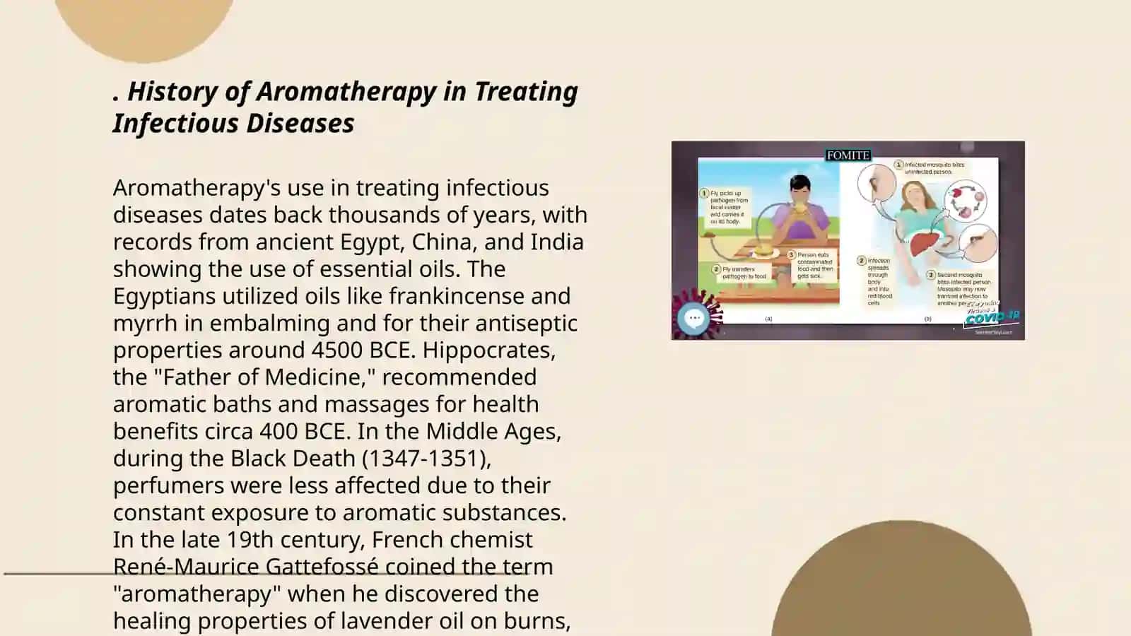Infectious diseases Culture project. Aromatherapy 3