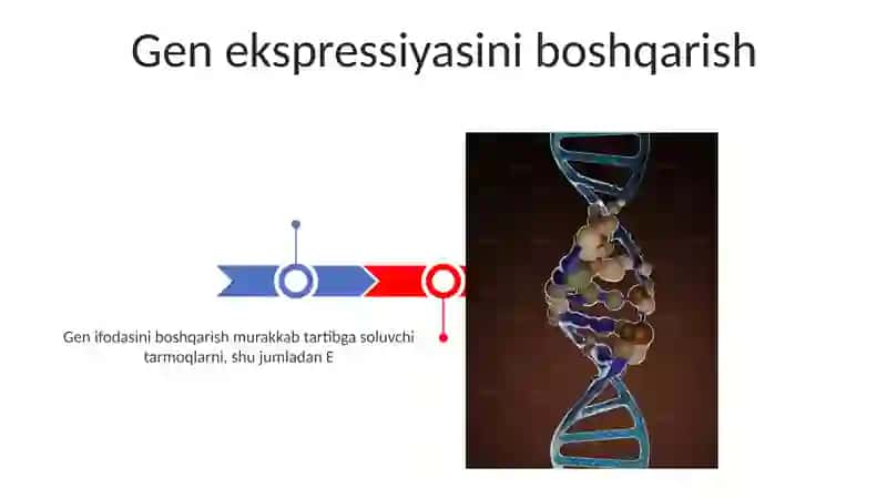 Oqilona biosintezi va uning genetik darajasidagi regulyatsiyasi 3