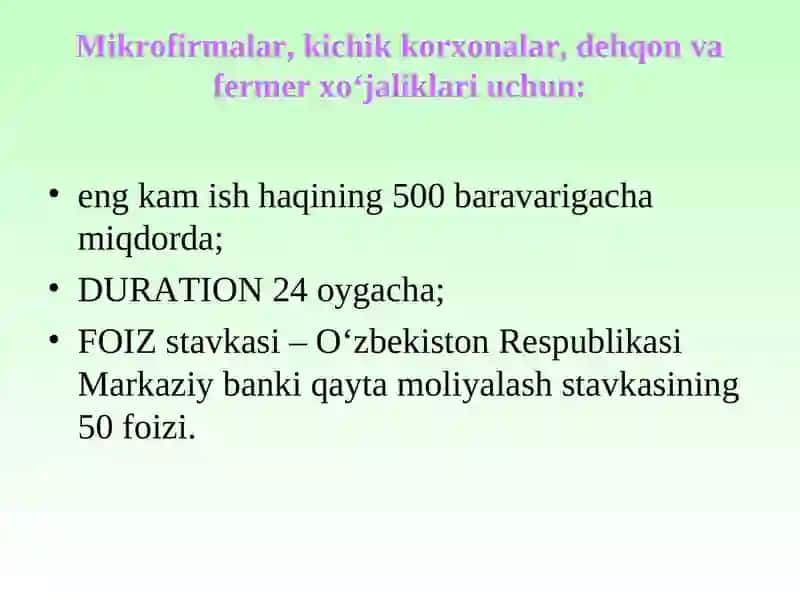 Mikrokreditlar 3