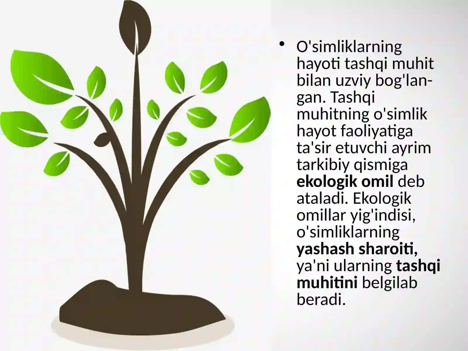 6-sinf Botanika dars ishlanma. O'simliklarga ekologik omillarning ta'siri 3