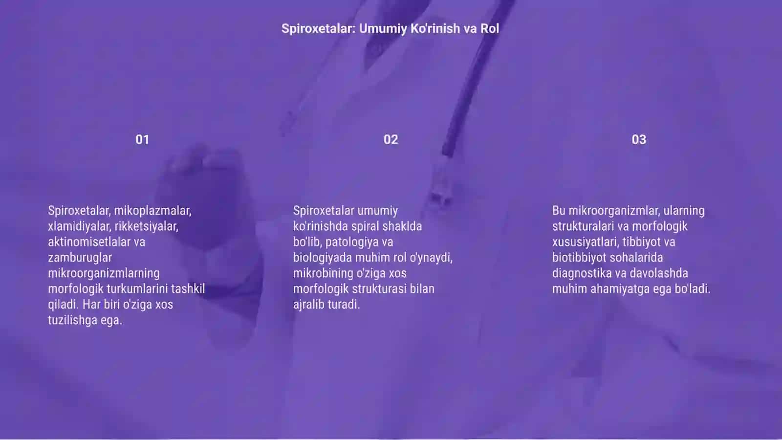 Spiroxetalar 3