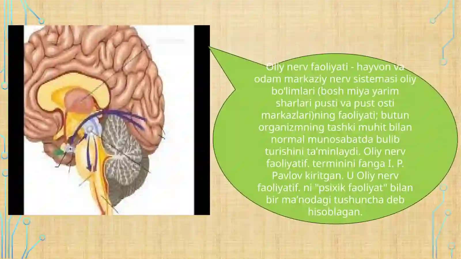 Oliy nerv faoliyati.Xotira xususiyatlarini aniqlash.Oliy nerv faoliayti tipini aniqlash. 3