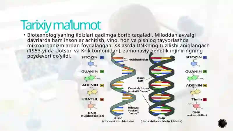 Genetik injiniring va biotexnologiya 3