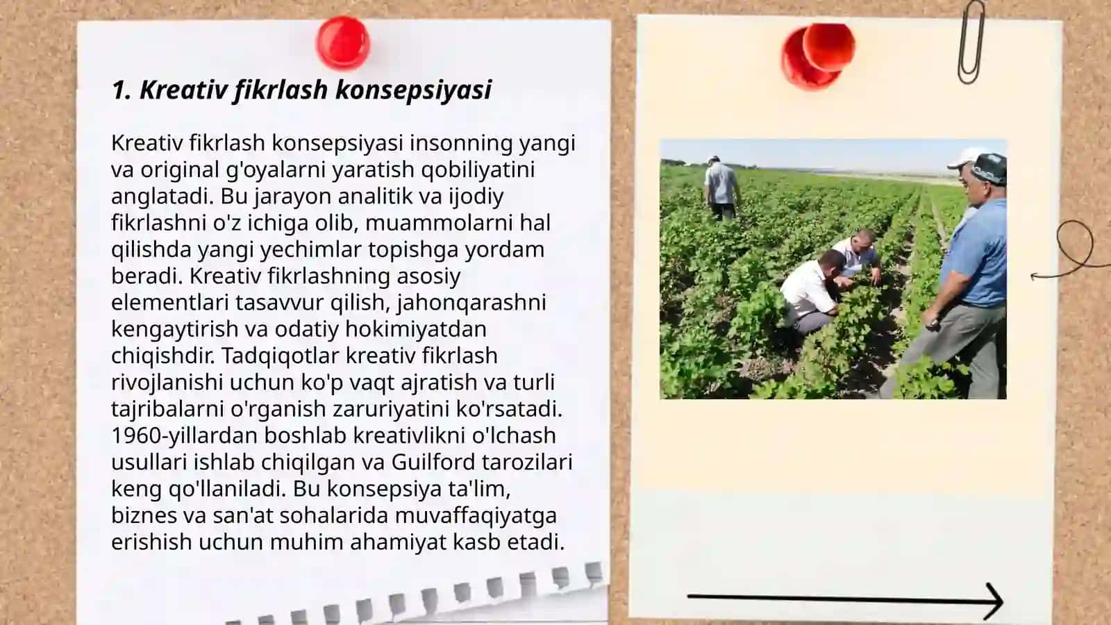 Kreativ fikrlashni baholashga doir namunaviy kognitiv topshiriqlarni ishlab chiqishga qaratilgan loyiha 3