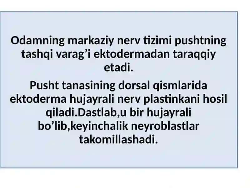 Nerv tizimi filogenezda 3