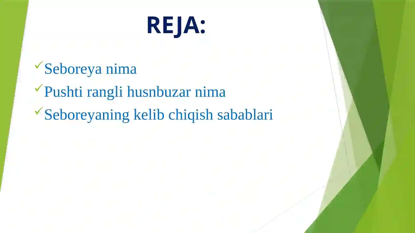 SEBOREYA PUSHTI RANGLI HUSNBUZAR 3