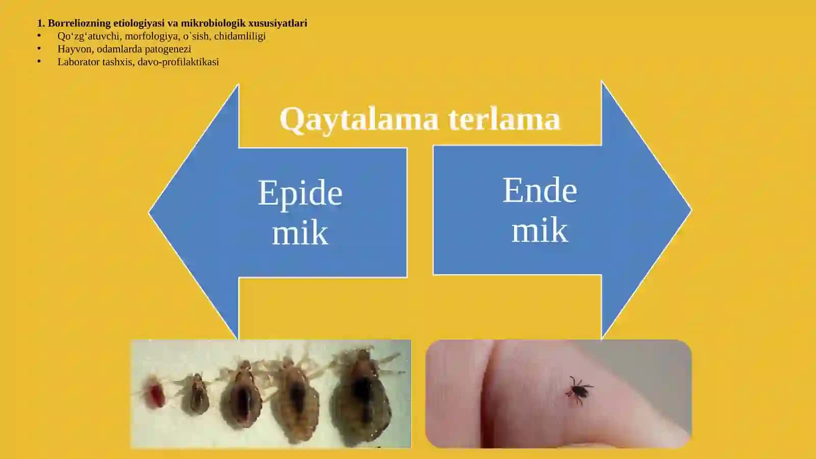 Borrelioz(Laymakasalligi).Leptospiralarmorfologiyasi,strukturasi,tarqalganligi,keltiribchiqaruvchikasalliklarivalaboratoriyatashhisi 3
