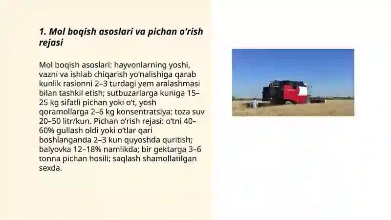 Mol boqish va pichan oʻrish 3