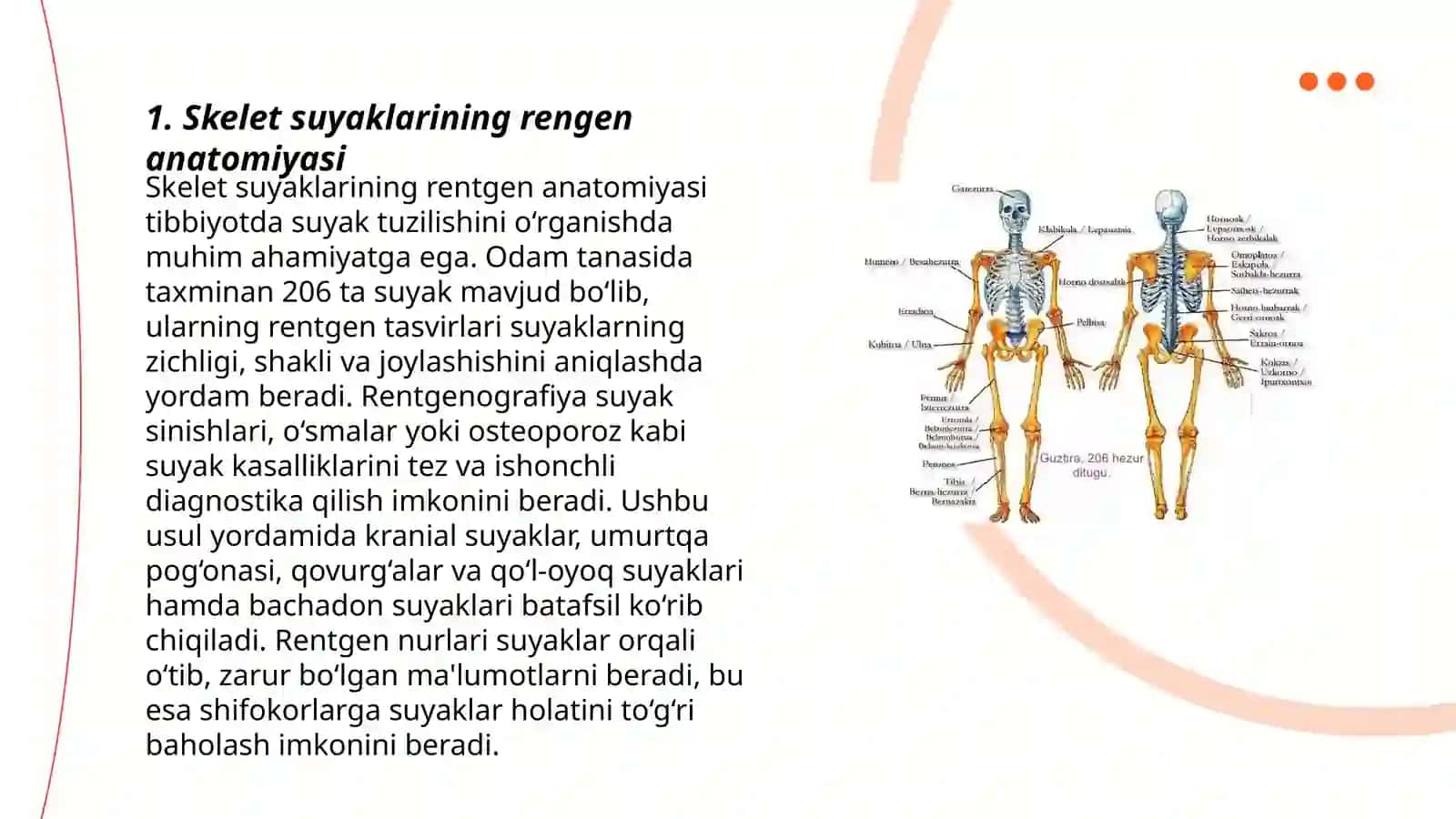 Skelet suyaklarining rentgenanatomiyasi 3