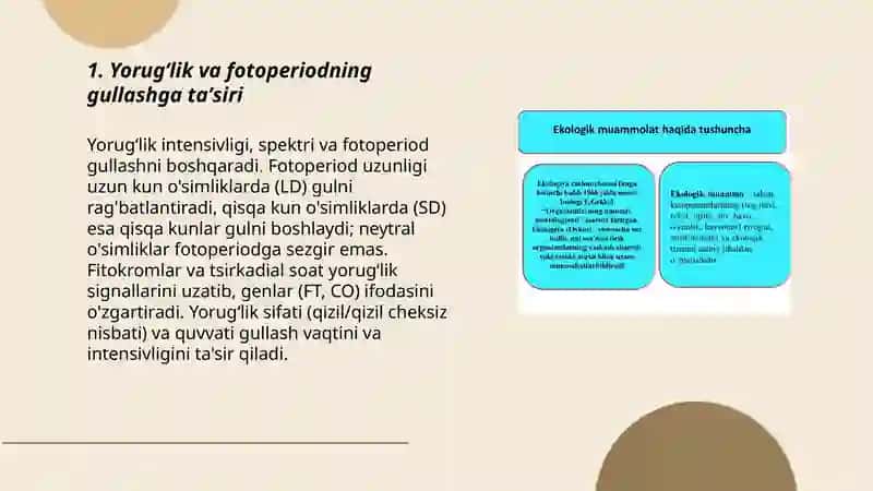 Gullash biologiyasiga ekologik omilning taʼsiri 3