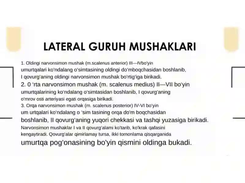 Bo‘yinning lateral soxasi 3