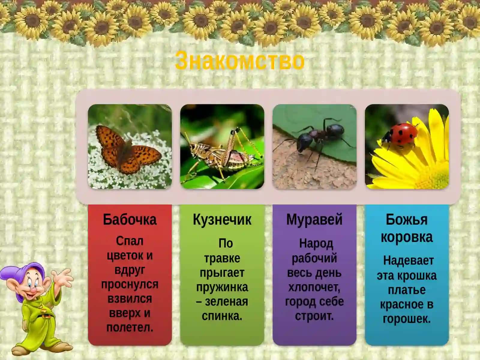 Насекомые 3
