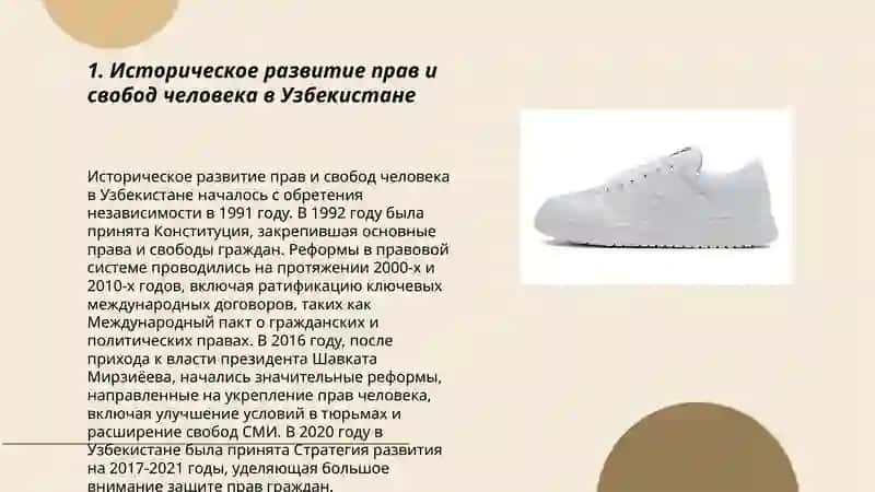 Создание грантий прав и свобод человека в новом Узбекистане 3