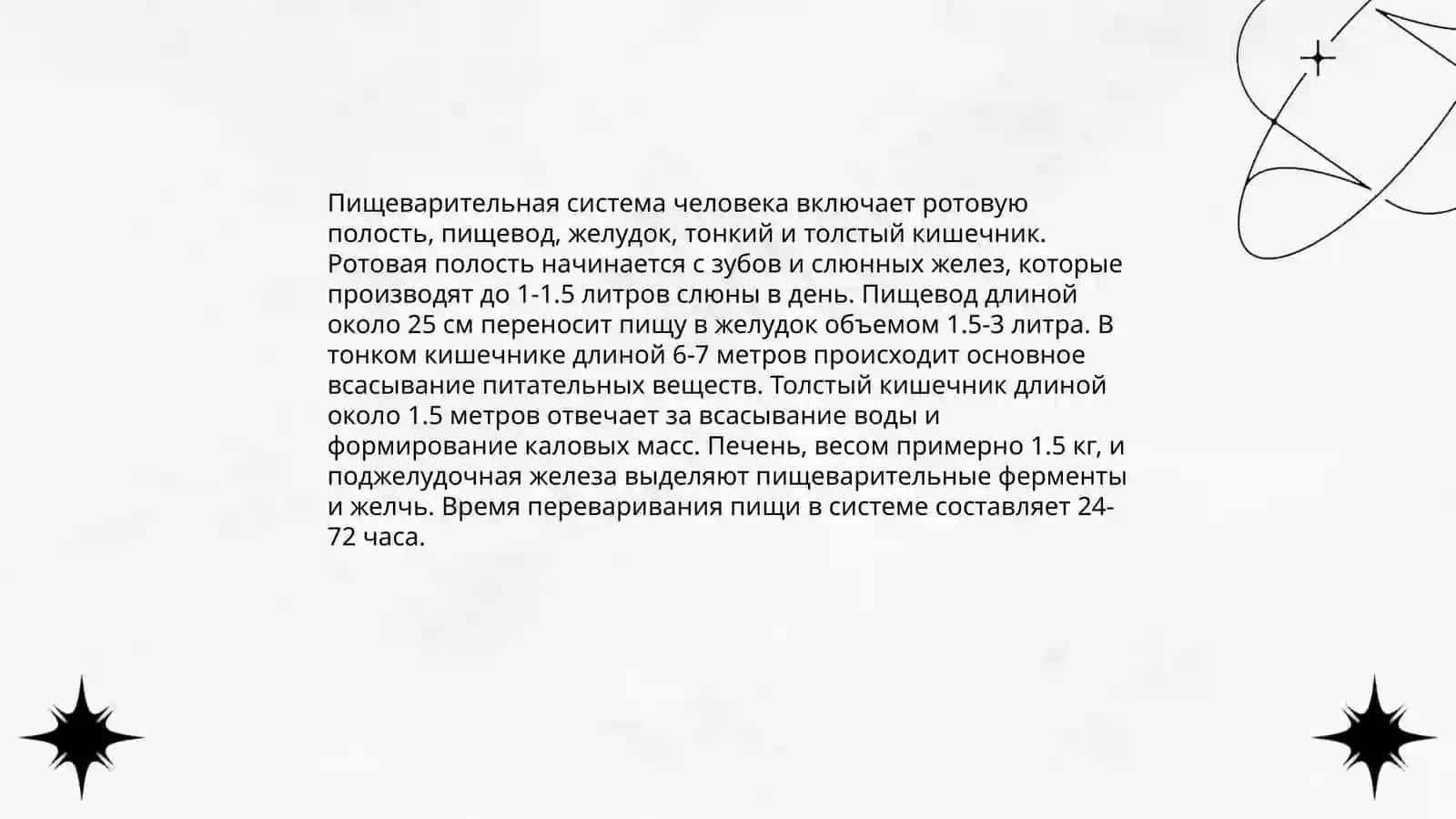 Анатомия и физиология пищеварения 3
