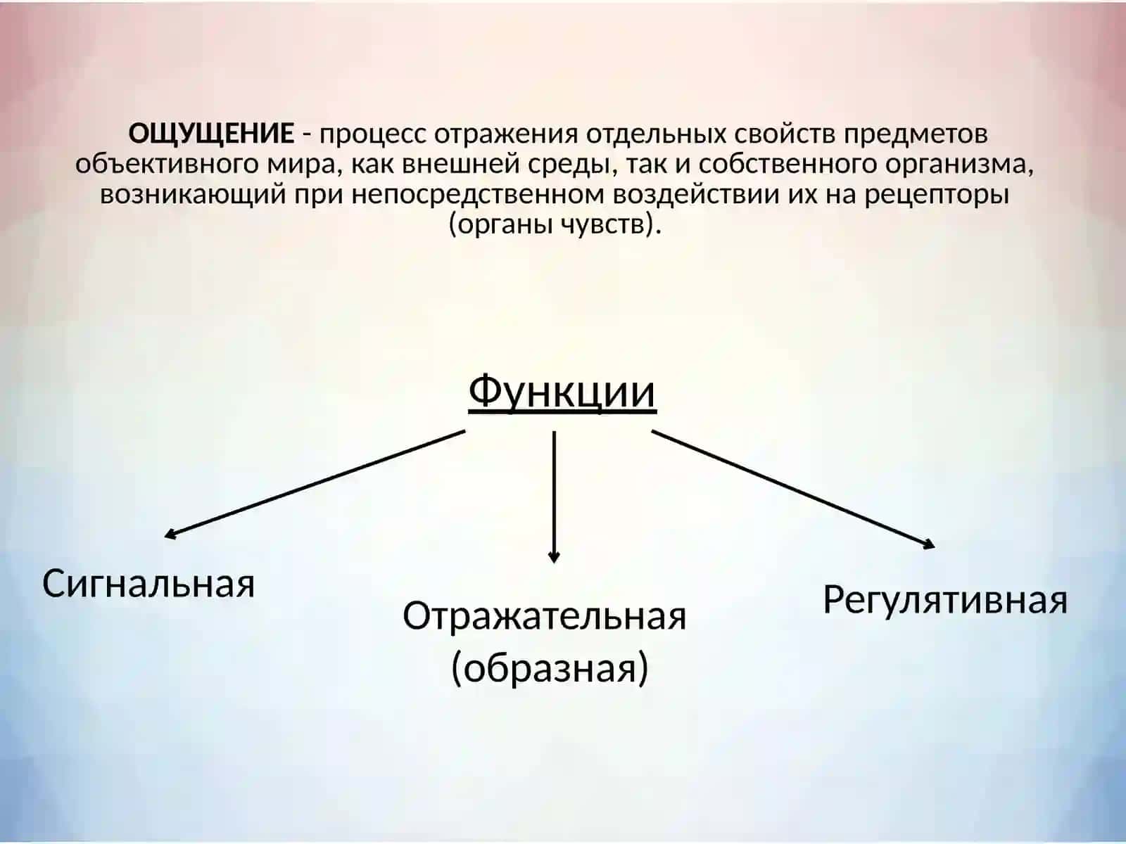 ПСИХОФИЗИОЛОГИЯ ОЩУЩЕНИЯ. СЕНСОРНЫЕ ПРОЦЕССЫ 3