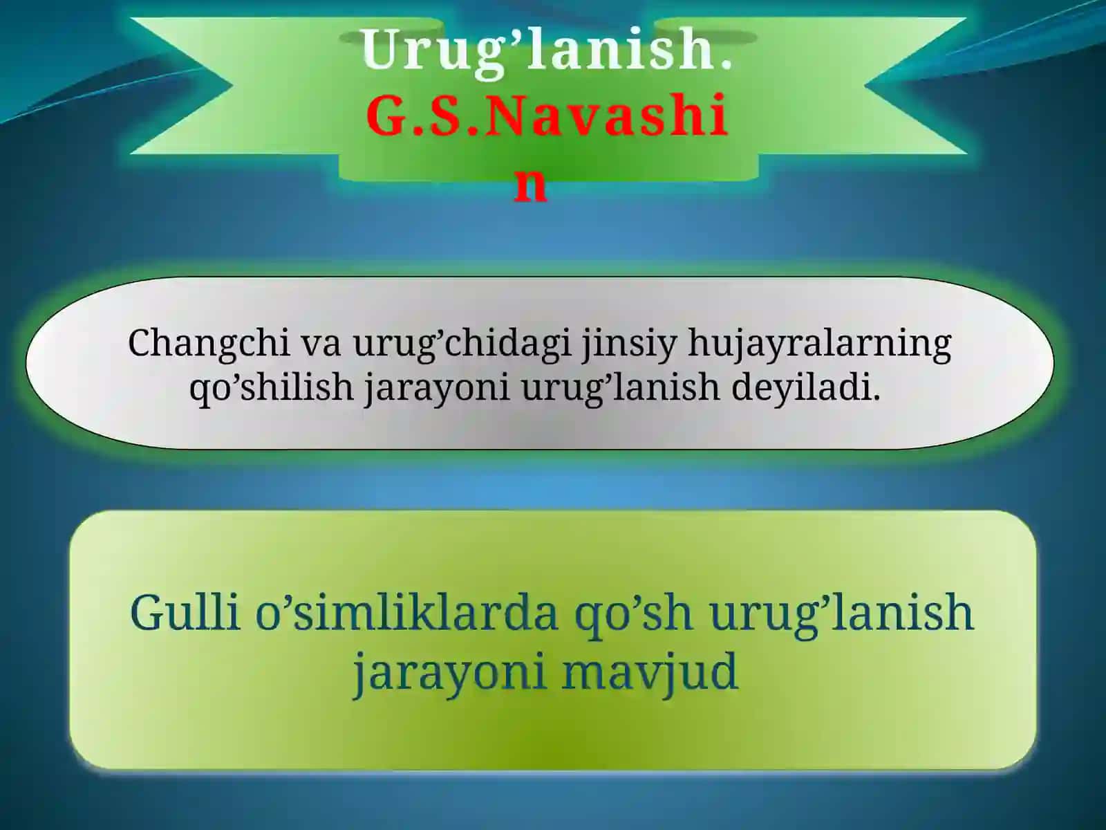 Changlanish 3