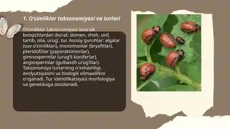 Oʻsimliklar dunyosi Abdumalikovna 3