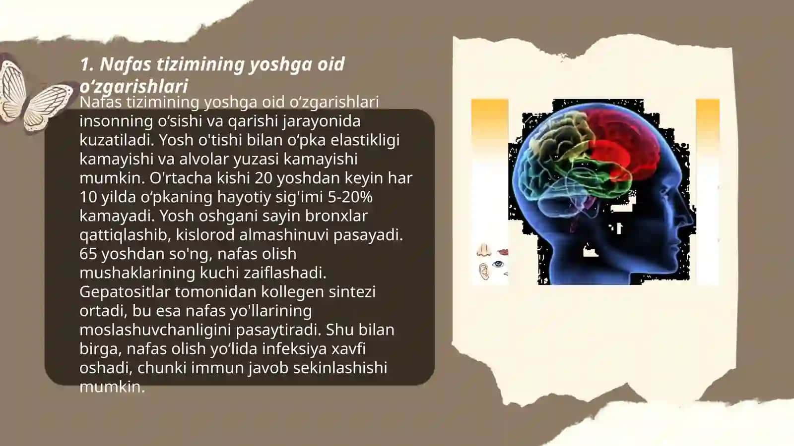 Nafas tizimining yoshga oid fiziologiyasi va gigiyenasi 3