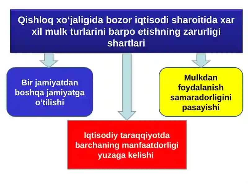 Qishloq xo‘jaligida mulk va xo‘jalik yuritish shakllarining samaradorligi 3