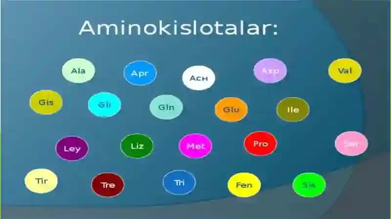 OQSILLARNING KIMYOVIY TARKIBI, FUNKSIYALARI. 3